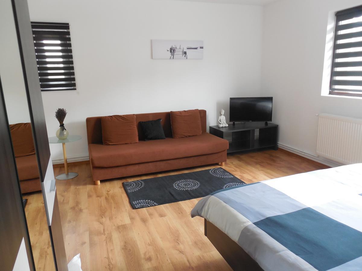 Vila Bel Ami Hotel Şelimbăr Kültér fotó